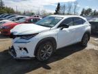 2021 LEXUS NX 300 BASE for sale at Copart ON - TORONTO