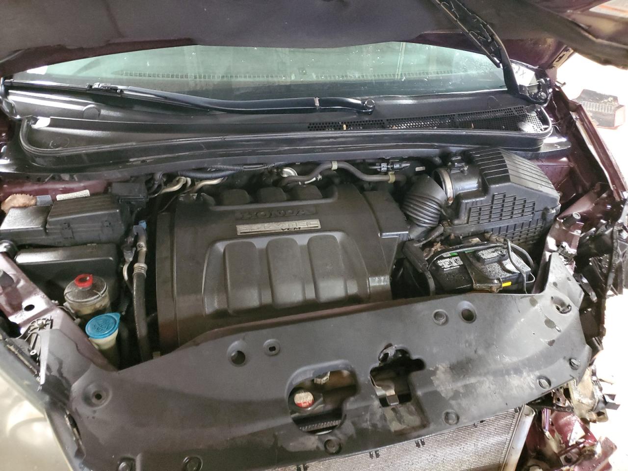 2007 Honda Odyssey Exl VIN: 5FNRL38777B448457 Lot: 56893595