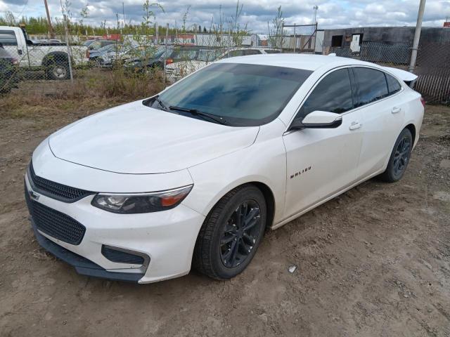  CHEVROLET MALIBU 2017 Білий