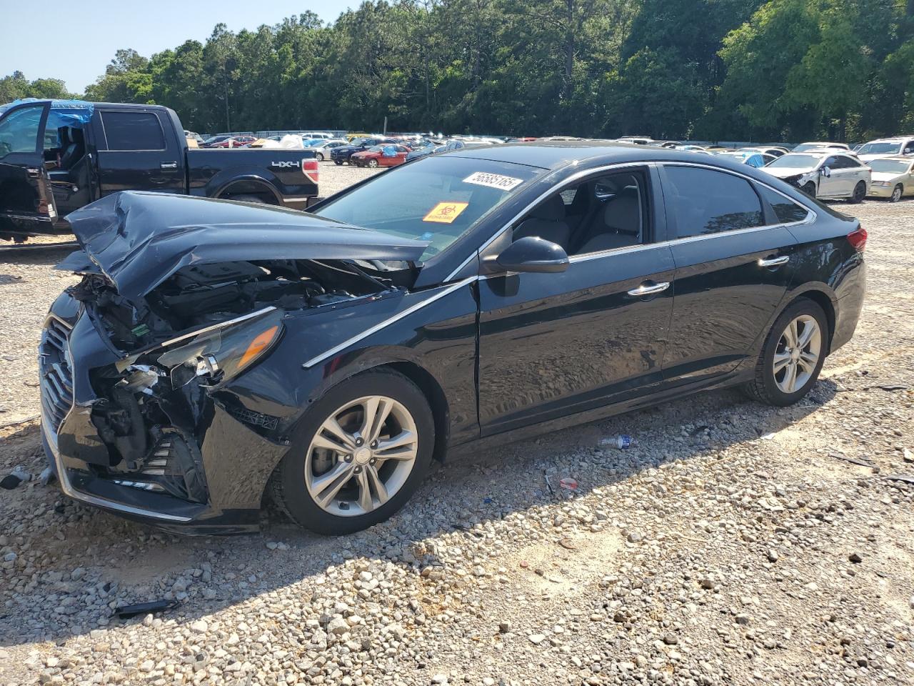 2018 Hyundai Sonata Sport VIN: 5NPE34AF7JH644400 Lot: 56585165