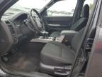 2009 Ford Escape Xlt for Sale in Bridgeton, MO - Minor Dent/Scratches