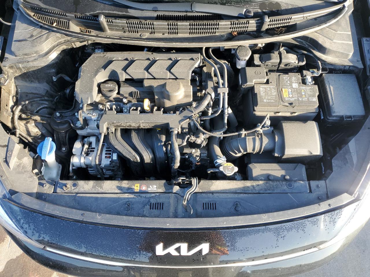 2023 Kia Rio Lx VIN: 3KPA24AD5PE574408 Lot: 55996145
