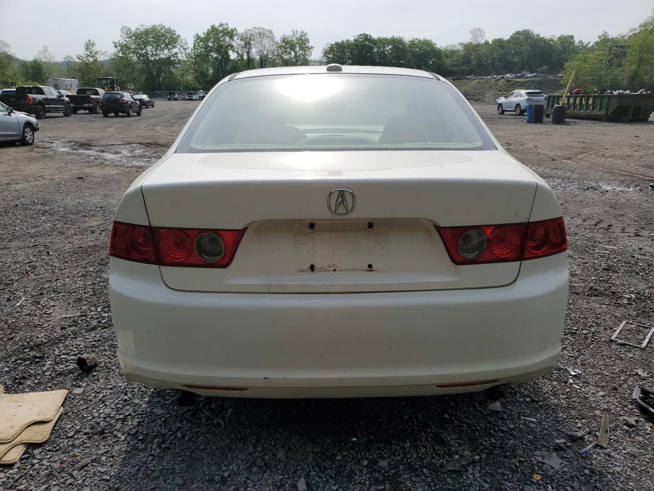2006 Acura Tsx VIN: JH4CL96866C033838 Lot: 56176695