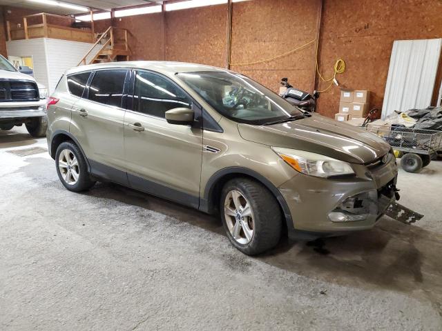 Parquets FORD ESCAPE 2013 Złoty