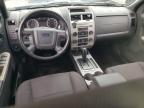 2011 Ford Escape Xlt   for Sale in Earlington, KY - Top/Roof