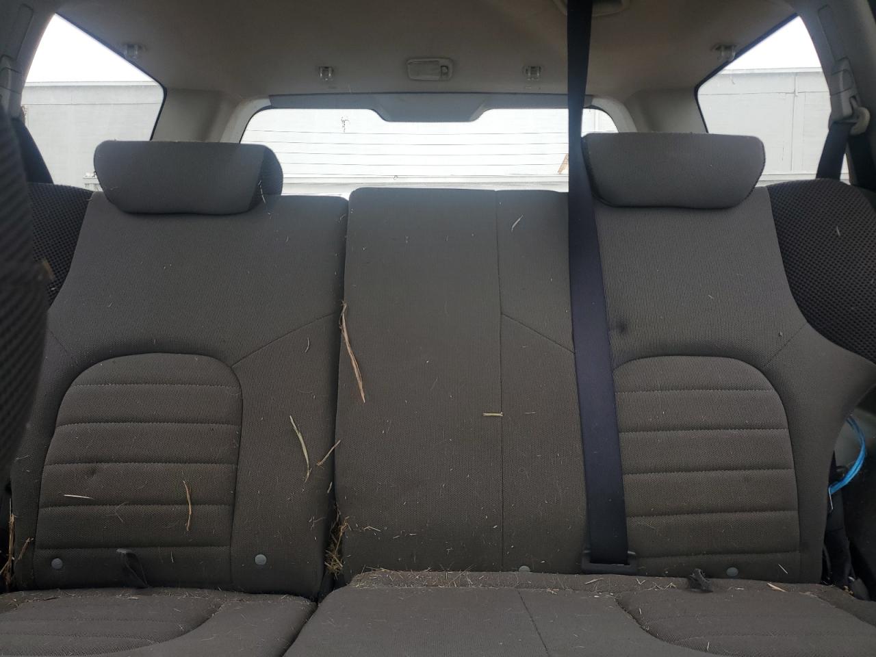2005 Nissan Xterra Off Road VIN: 5N1AN08WX5C629376 Lot: 56478535