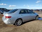 2004 Honda Accord Ex for Sale in Brighton, CO - Rear End