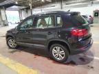 2017 Volkswagen Tiguan S იყიდება Marlboro-ში, NY - Rear End