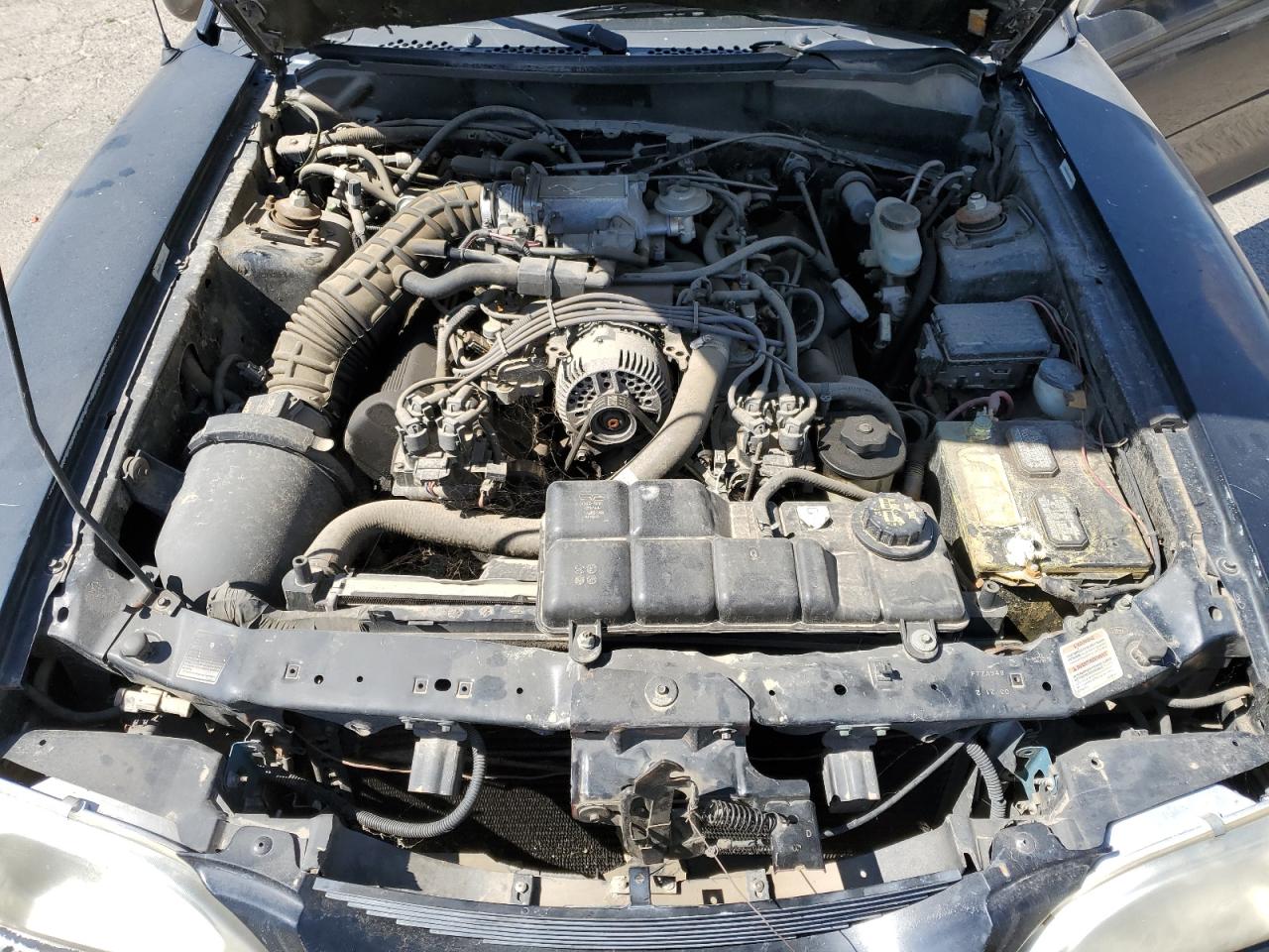 1998 Ford Mustang Gt VIN: 1FAFP45X8WF191939 Lot: 56934605