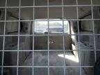 2014 Ram Tradesman    de vânzare în Hillsborough, NJ - Side