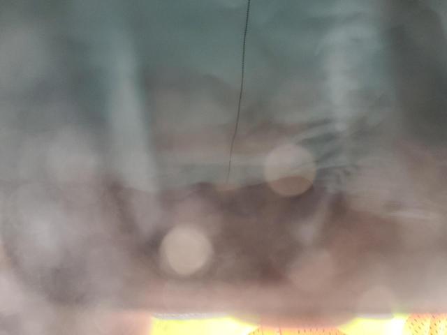  TOYOTA GR COROLLA 2025 Белый