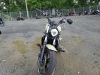 2024 Kawasaki En650 D for Sale in Baltimore, MD - Front End