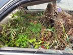 1997 Honda Accord Ex for Sale in Spartanburg, SC - Water/Flood