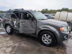 Littleton, CO에서 판매 중인 2010 Ford Escape Limited - Side