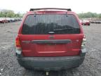 2005 Ford Escape Xlt იყიდება Marlboro-ში, NY - Rear End