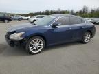 2009 Nissan Maxima S продається в Brookhaven, NY - Front End