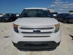Taylor, TX에서 판매 중인 2015 Ford Explorer Limited - Hail
