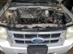 2011 Ford Escape Xlt for Sale in Madisonville, TN - Top/Roof