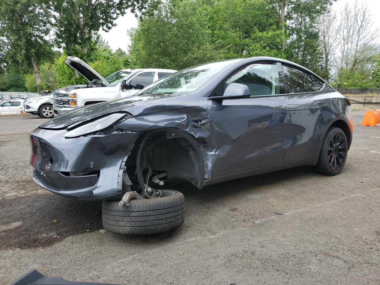 2023 Tesla Model Y VIN: 7SAYGDEE3PF870754 Lot: 56991315