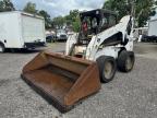 Riverview, FL에서 판매 중인 2010 Bobcat S300 - Minor Dent/Scratches