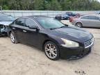 2013 Nissan Maxima S zu verkaufen in Midway, FL - Front End