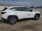 2024 Hyundai Tucson Blue for Sale in Pekin, IL - Front End