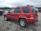 2007 Ford Escape Limited en Venta en Memphis, TN - Minor Dent/Scratches