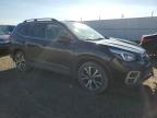 2019 SUBARU FORESTER LIMITED   à vendre chez Copart AB - EDMONTON