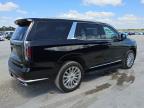 2023 Cadillac Escalade Premium Luxury en Venta en Homestead, FL - Normal Wear