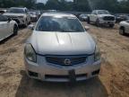 2007 Nissan Maxima Se zu verkaufen in Theodore, AL - Rear End