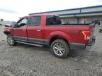 2016 Ford F150 Supercrew for Sale in Earlington, KY - Front End