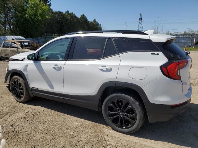  GMC TERRAIN 2020 Biały