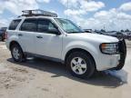 2011 Ford Escape Xlt for Sale in West Palm Beach, FL - Normal Wear
