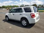 2012 Ford Escape Xlt for Sale in Denver, CO - Hail