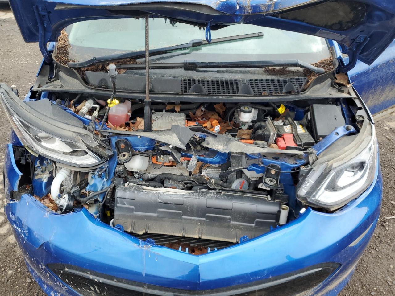 2017 Chevrolet Bolt Ev Lt VIN: 1G1FW6S04H4178905 Lot: 56045355