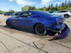 2013 FORD MUSTANG    for sale at Copart ON - TORONTO