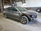 2014 Honda Accord Lx na sprzedaż w Albany, NY - Front End