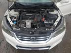 2013 Honda Accord Exl   en Venta en Lumberton, NC - Water/Flood