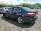 2014 Honda Accord Sport на продаже в Marlboro, NY - Minor Dent/Scratches