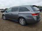 2016 Honda Odyssey Se for Sale in Elgin, IL - Front End