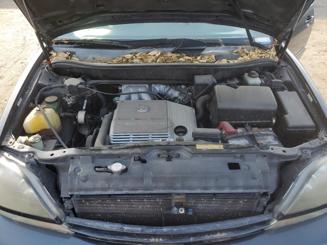 1999 Lexus Rx 300 VIN: JT6HF10U1X0032693 Lot: 55799585