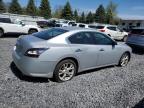 2013 Nissan Maxima S for Sale in Albany, NY - Vandalism