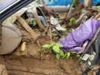 1997 Honda Accord Ex for Sale in Spartanburg, SC - Water/Flood