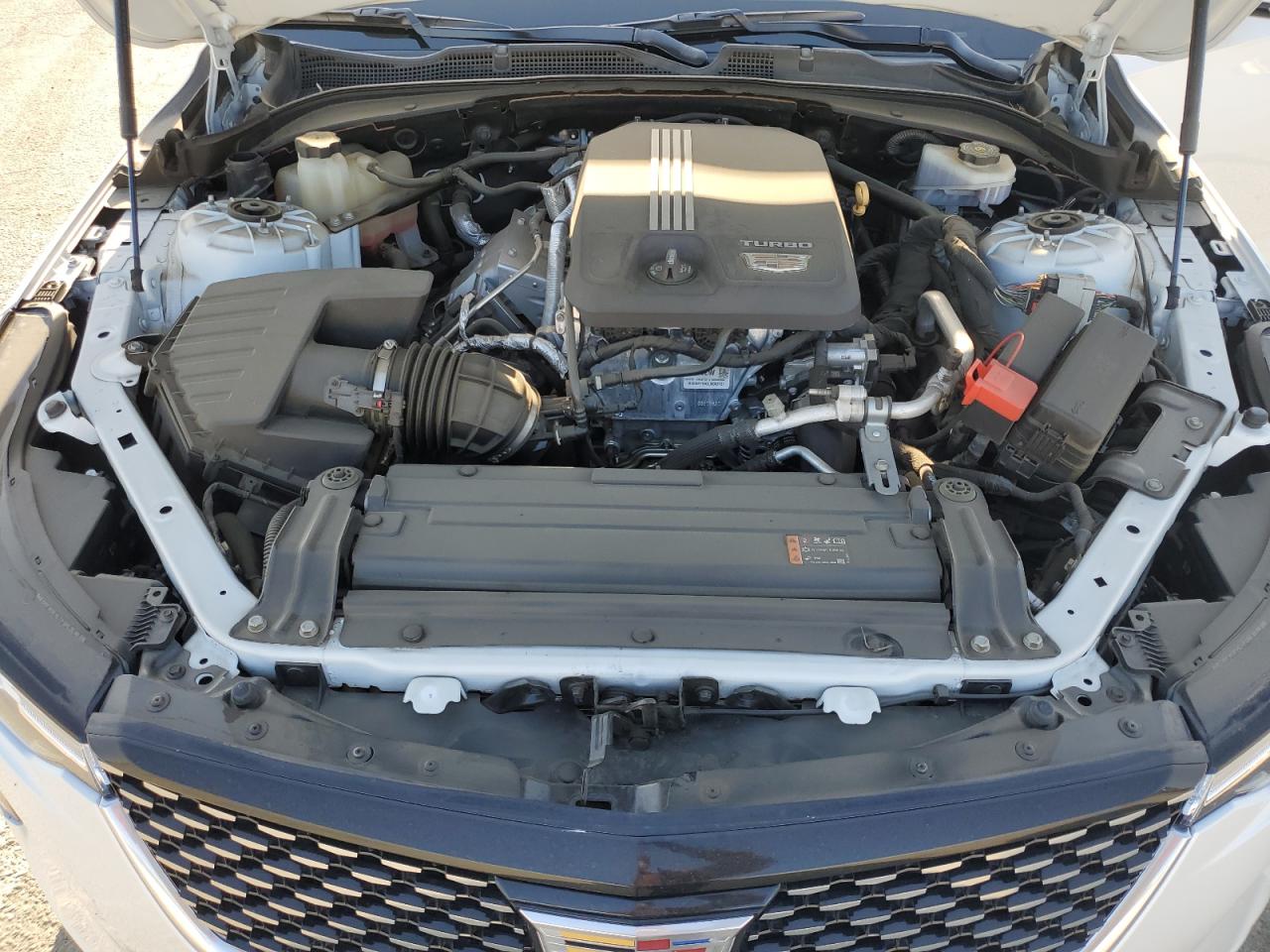2020 Cadillac Ct4 Premium Luxury VIN: 1G6DB5RK5L0153350 Lot: 56055745