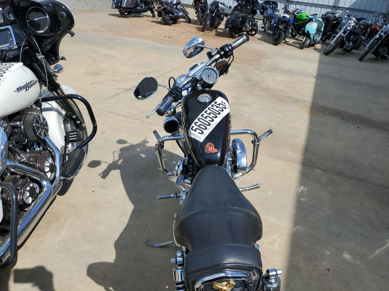 1999 Harley-Davidson Xl1200 C VIN: 1HD1CGP38XK124387 Lot: 56055035