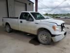 2011 Ford F150  en Venta en Billings, MT - Front End