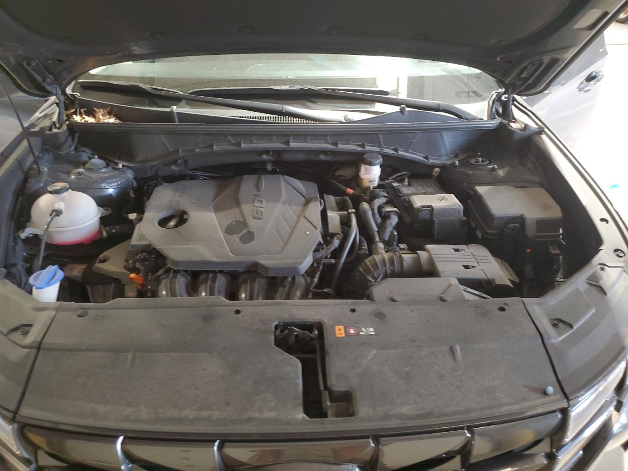 2024 Hyundai Tucson Sel VIN: 5NMJBCDE8RH346834 Lot: 56695425