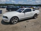2008 Ford Mustang  for Sale in Harleyville, SC - Water/Flood