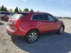 2016 Cadillac Srx Luxury Collection for Sale in Eugene, OR - Front End