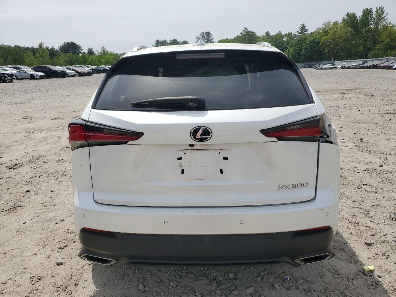2019 Lexus Nx 300 Base VIN: JTJBARBZ2K2179846 Lot: 58236005